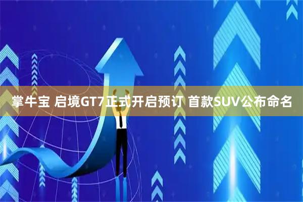 掌牛宝 启境GT7正式开启预订 首款SUV公布命名