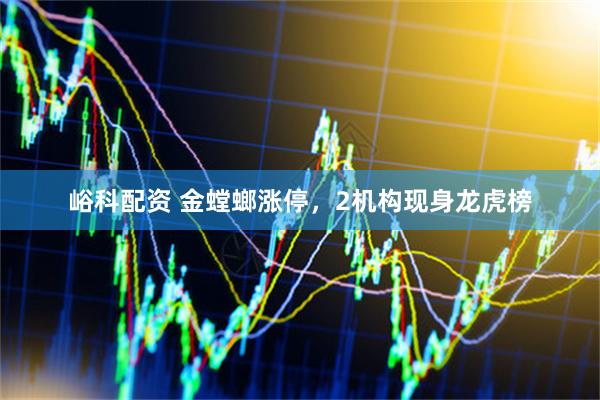 峪科配资 金螳螂涨停，2机构现身龙虎榜
