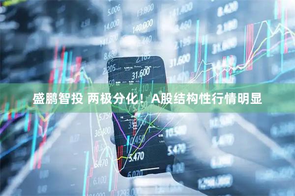 盛鹏智投 两极分化！A股结构性行情明显