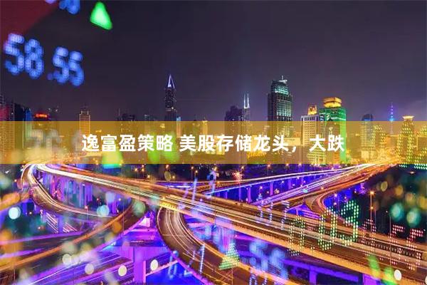 逸富盈策略 美股存储龙头，大跌